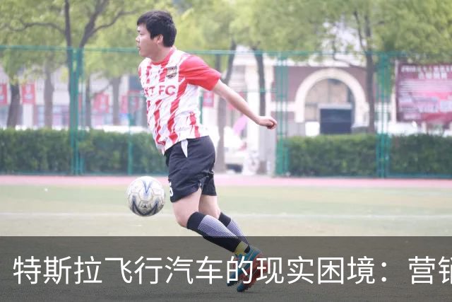 特斯拉飞行汽车的现实困境：营销噱头背后的真相